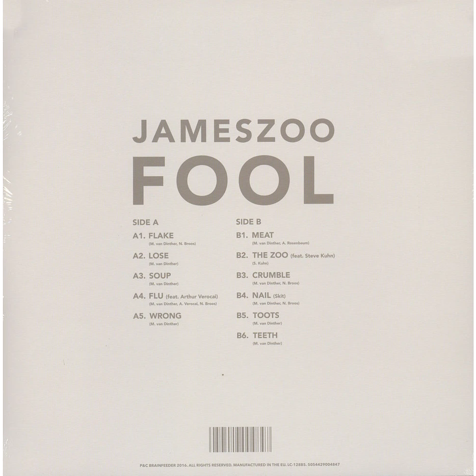 Jameszoo - Fool