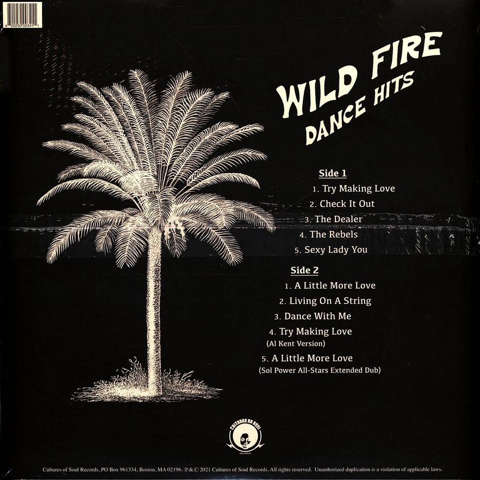 Wild Fire - Dance Hits