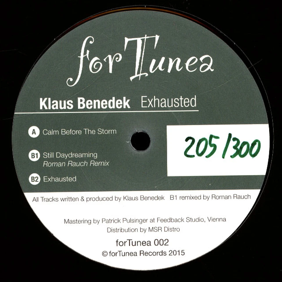 Klaus Benedek - Exhausted
