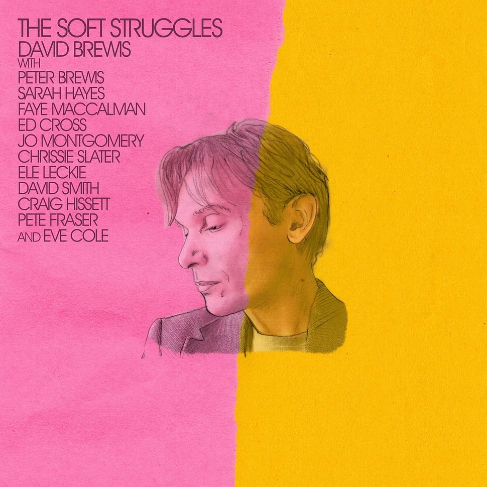 David Brewis - The Soft Struggles