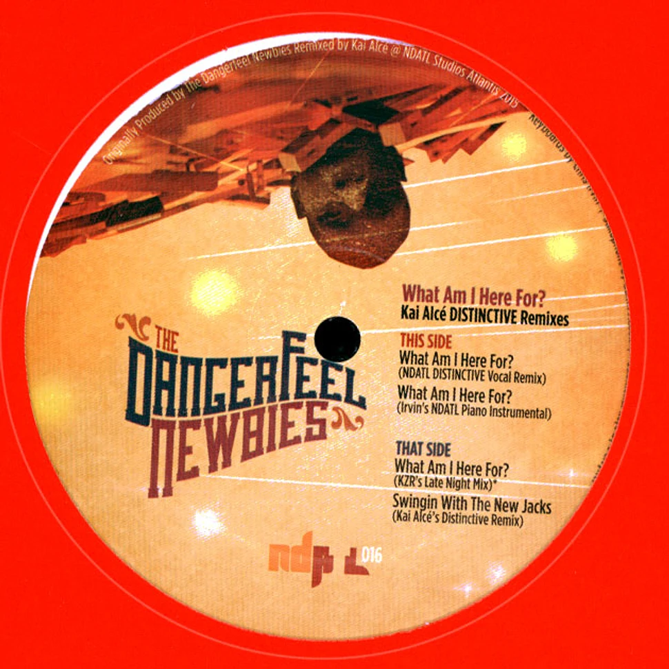 The Dangerfeel Newbies - What Am I Here For? Kai Alce Distinctive Remixes 2023 Repress