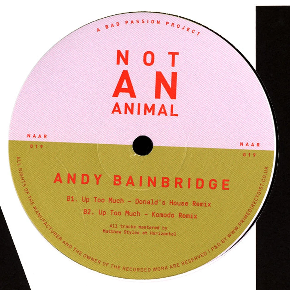 Andy Bainbridge - Up Too Much