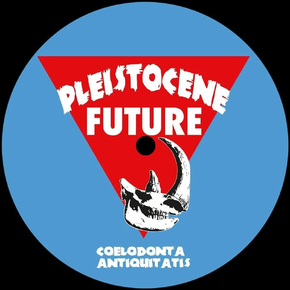 ARKVS - Pleistocene Future 5