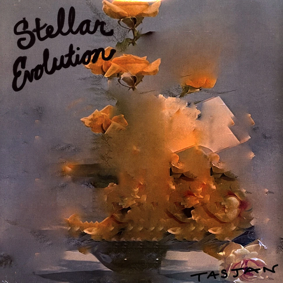 Aaron Lee Tasjan - Stellar Evolution Black Vinyl Edition