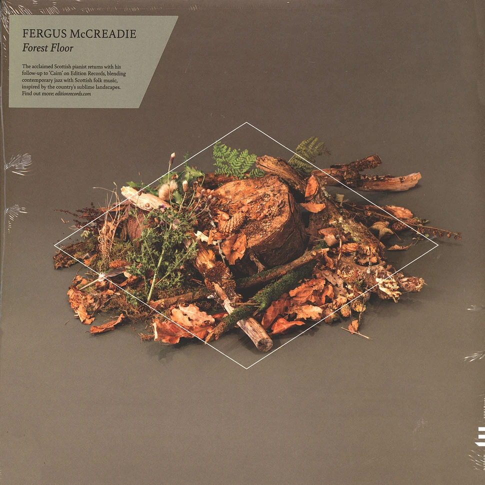Fergus Mccreadie - Forest Floor