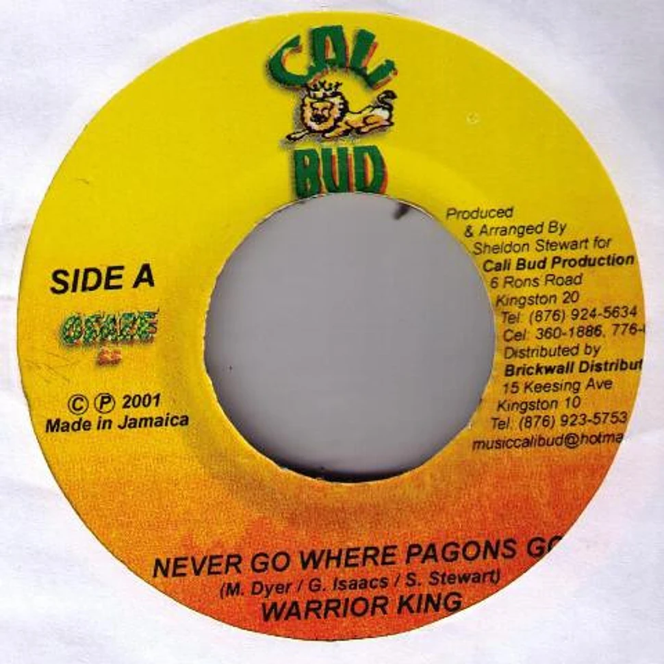 Warrior King - Never Go Where Pagons Go