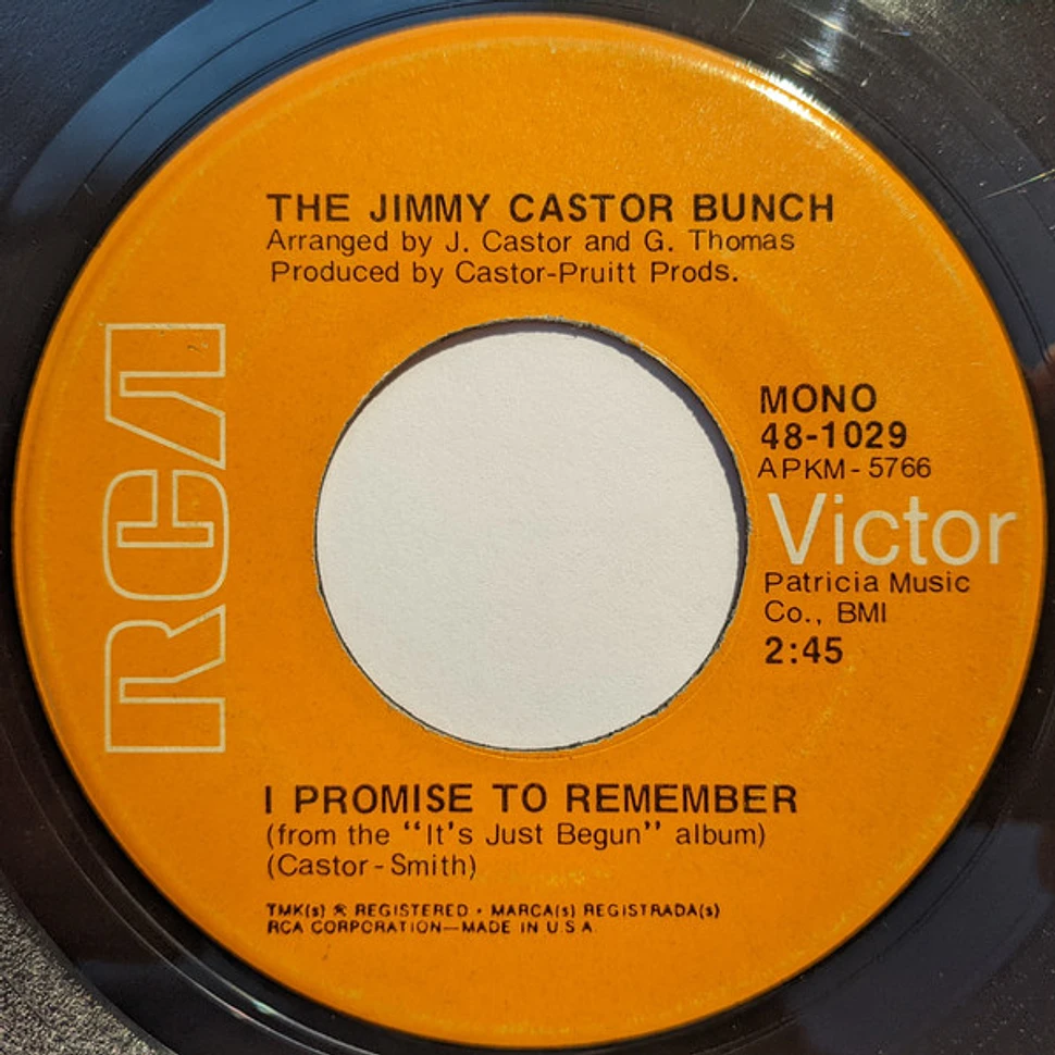 The Jimmy Castor Bunch - Troglodyte (Cave Man) / I Promise To Remember