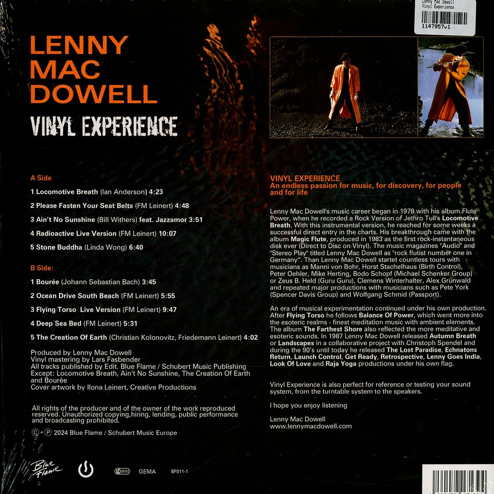 Lenny Mac Dowell - Vinyl Experience