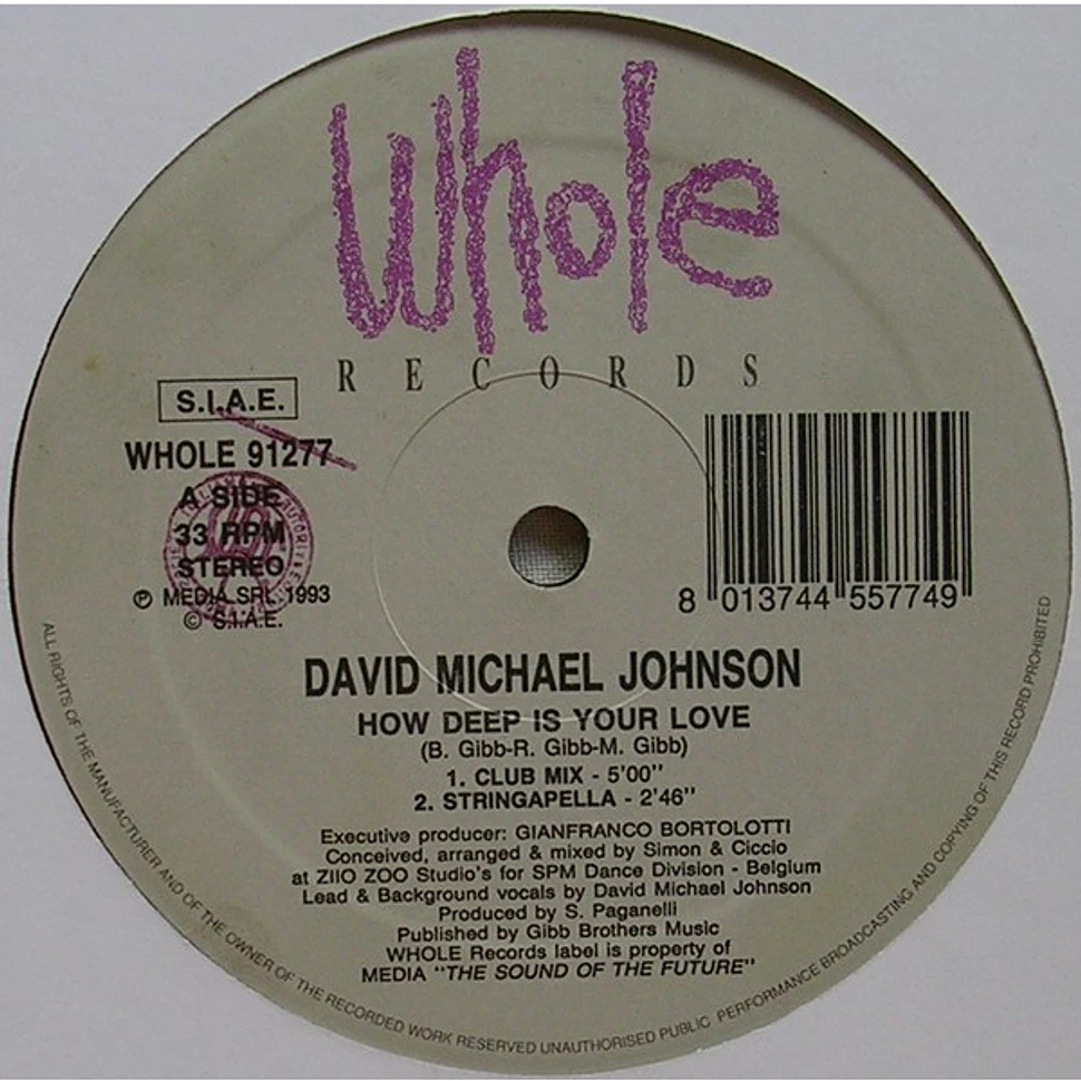 David Michael Johnson - How Deep Is Your Love