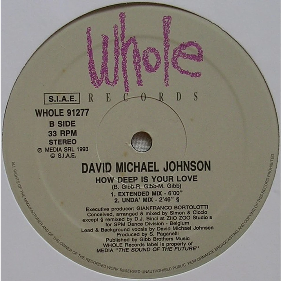 David Michael Johnson - How Deep Is Your Love
