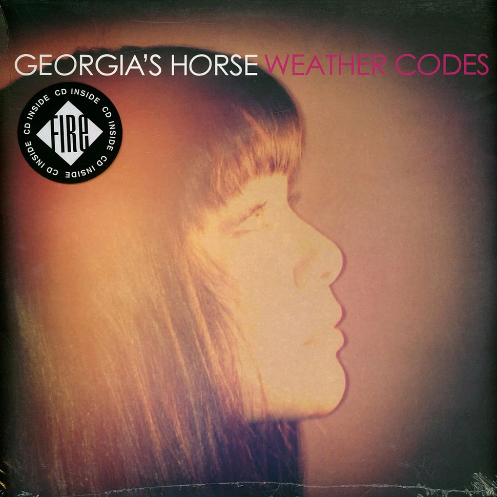 Georgia's Horse - Weather Codes