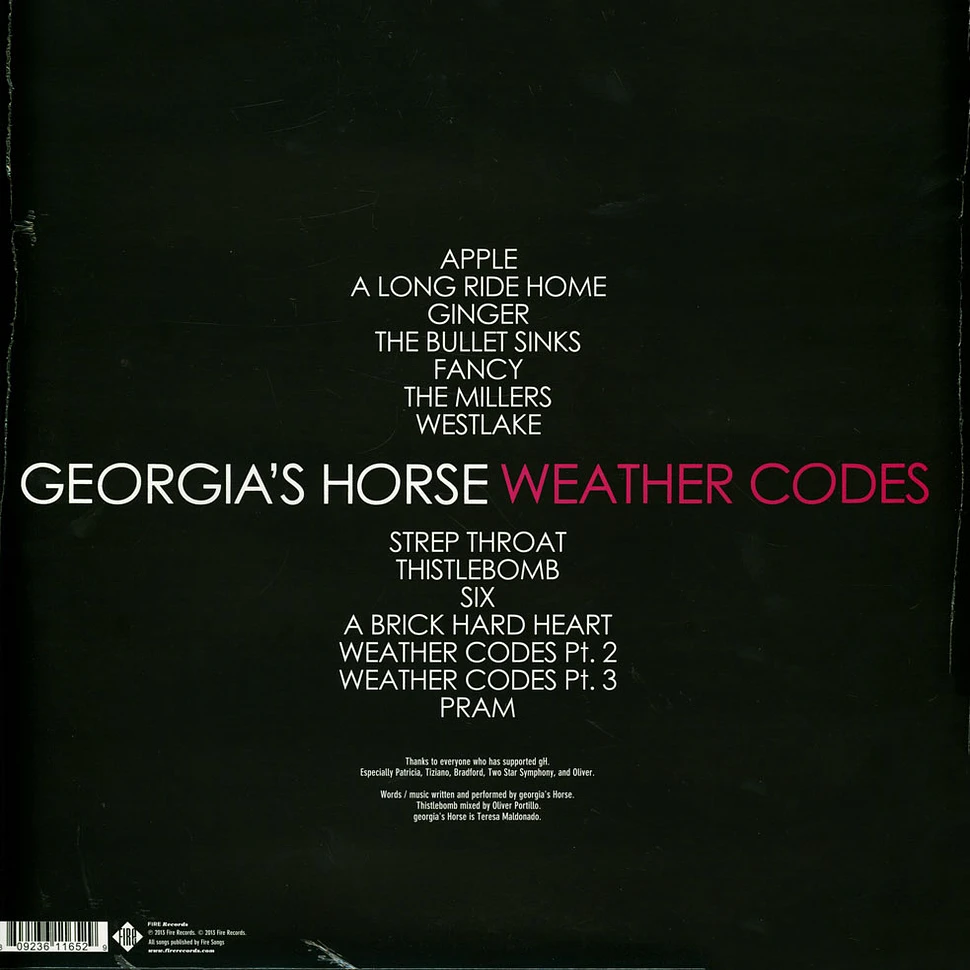 Georgia's Horse - Weather Codes