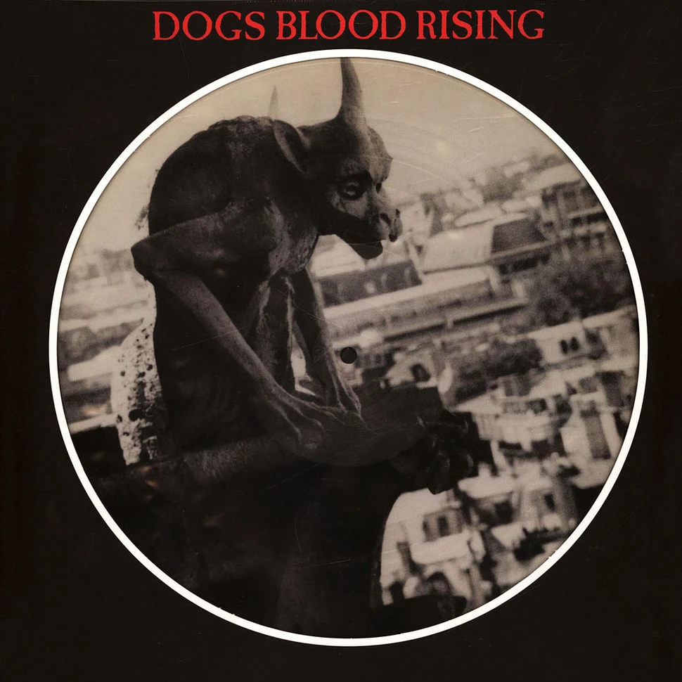 Current 93 - Dogs Blood Rising Picture Disc Edition