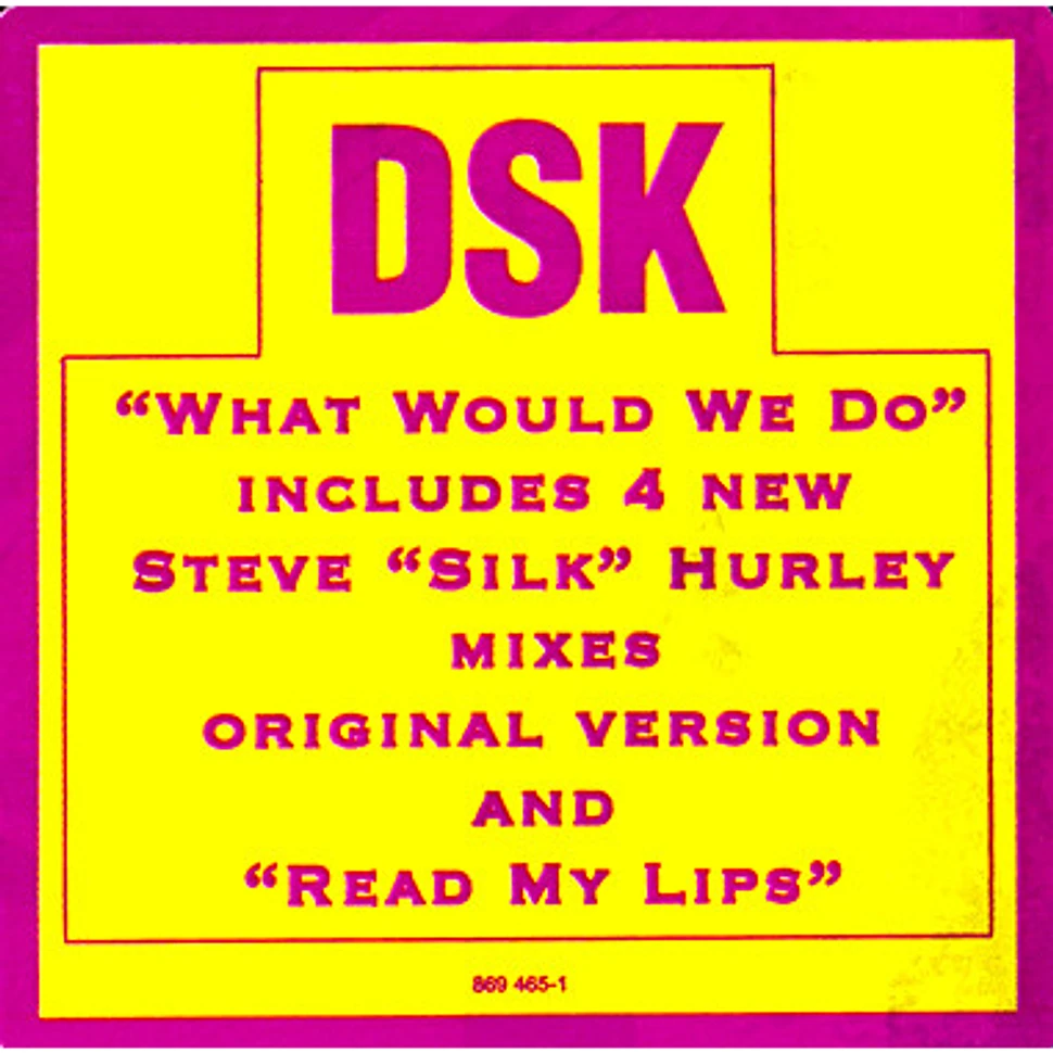 DSK - What Would We Do