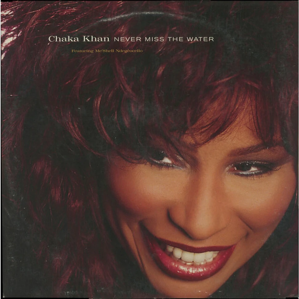 Chaka Khan Featuring Me'Shell NdegéOcello - Never Miss The Water