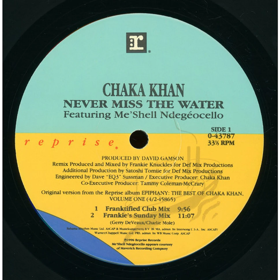 Chaka Khan Featuring Me'Shell NdegéOcello - Never Miss The Water