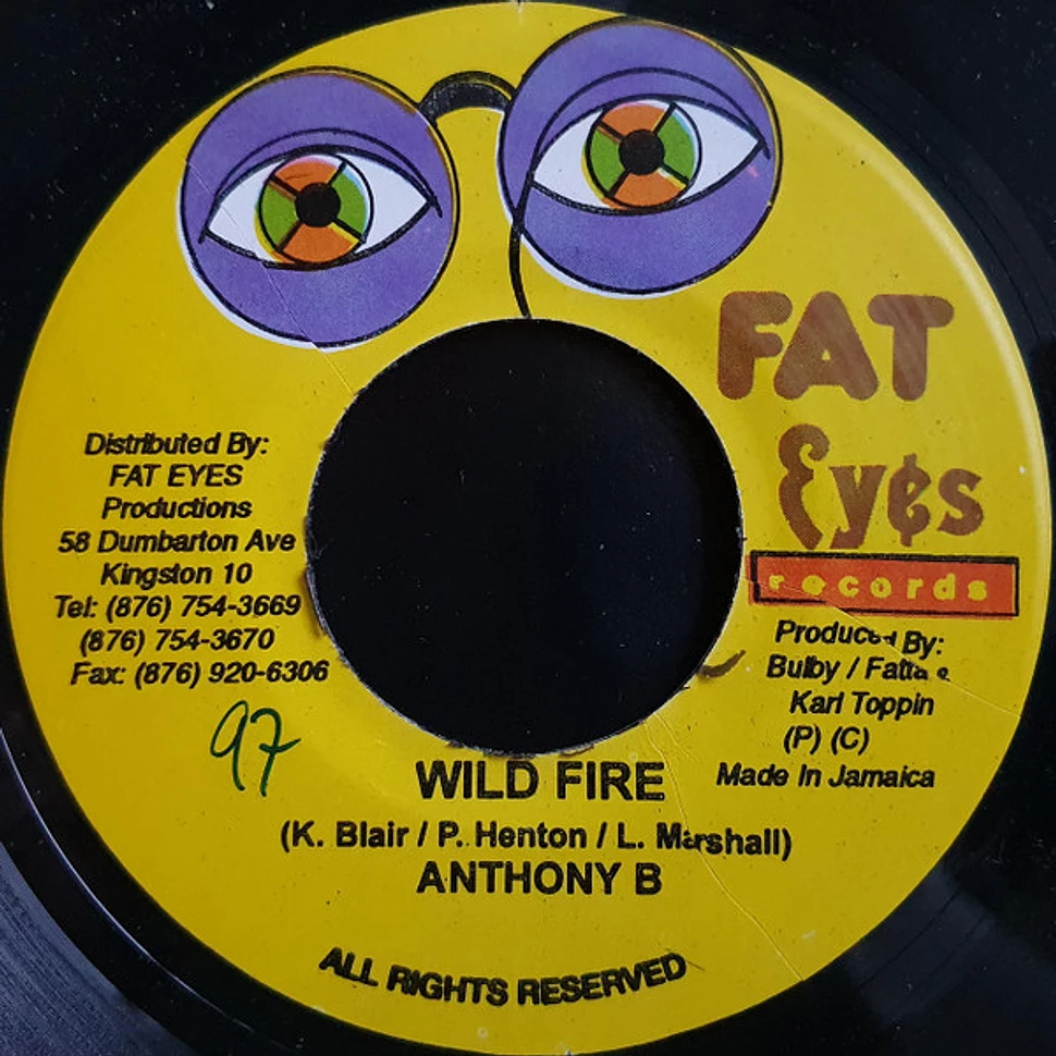 Anthony B / Ninja Ford - Wild Fire / Never See Mi Done