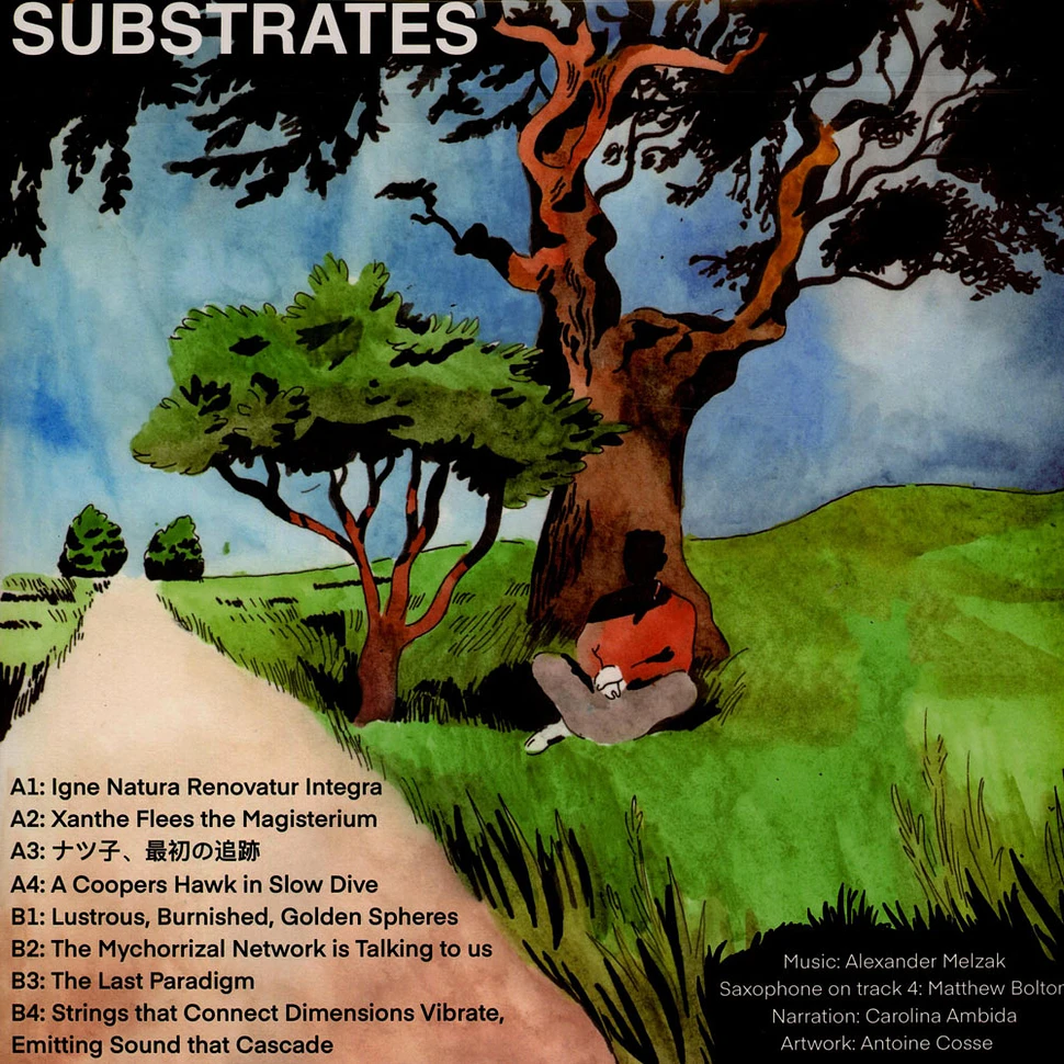 Alexander Melzak - Substrates