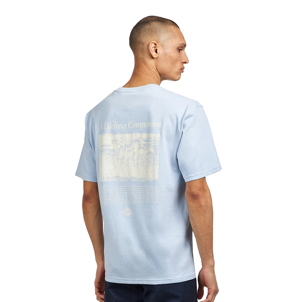 Dickies - Companion Script SS Tee