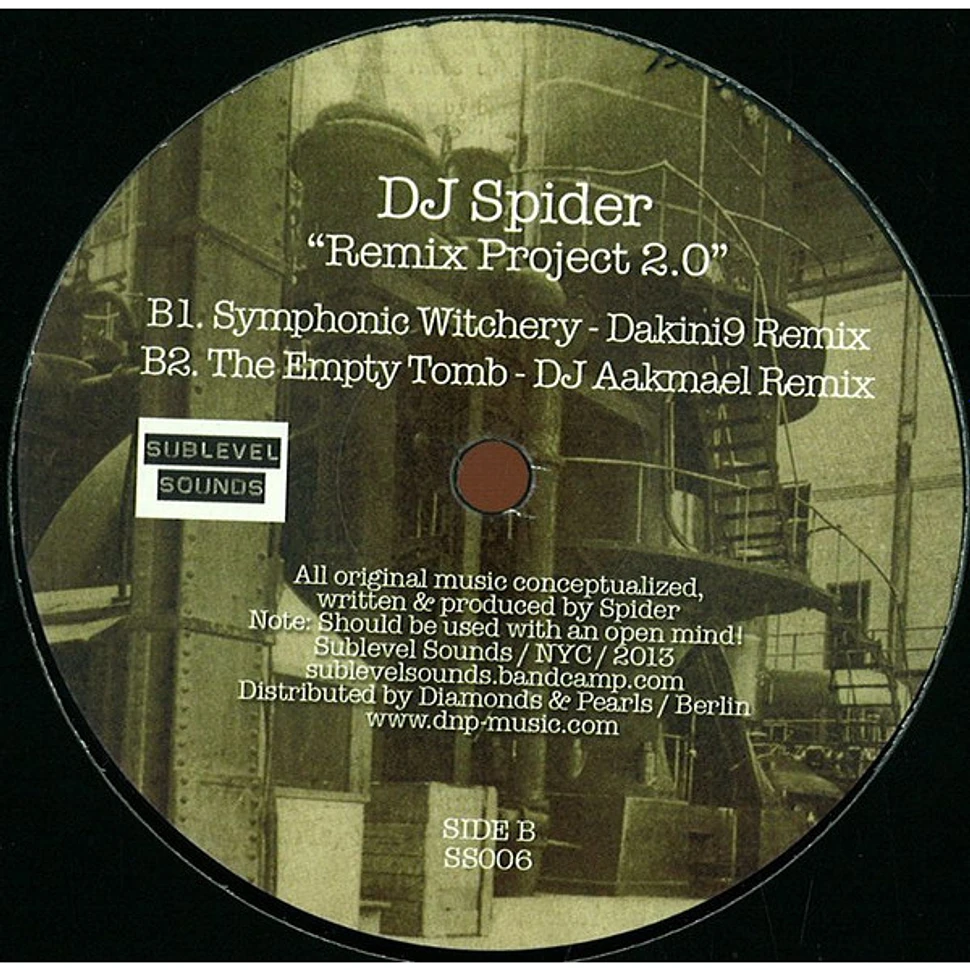 DJ Spider - Remix Project 2.0