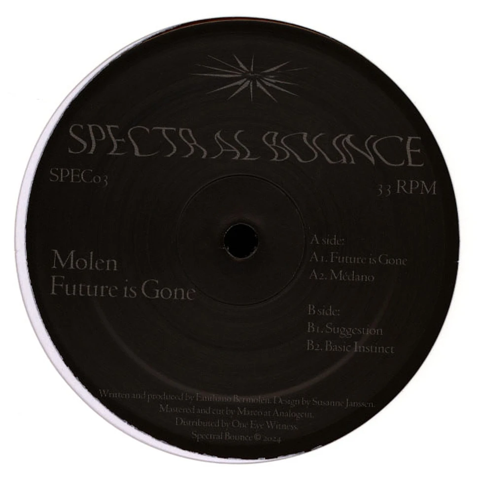 Molen - Future is Gone