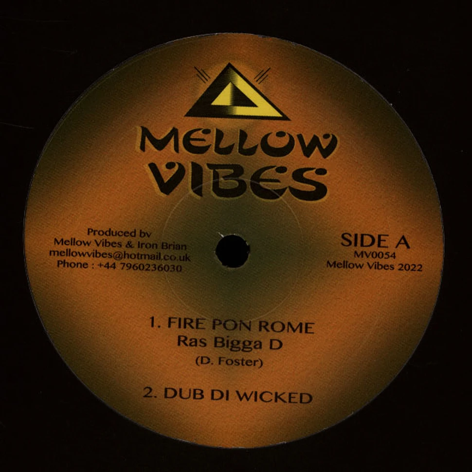 Ras Bigga D / Sista Mary - Fire Pon Rome, Dub Di Wicked / New Dawn, Daylight Dub