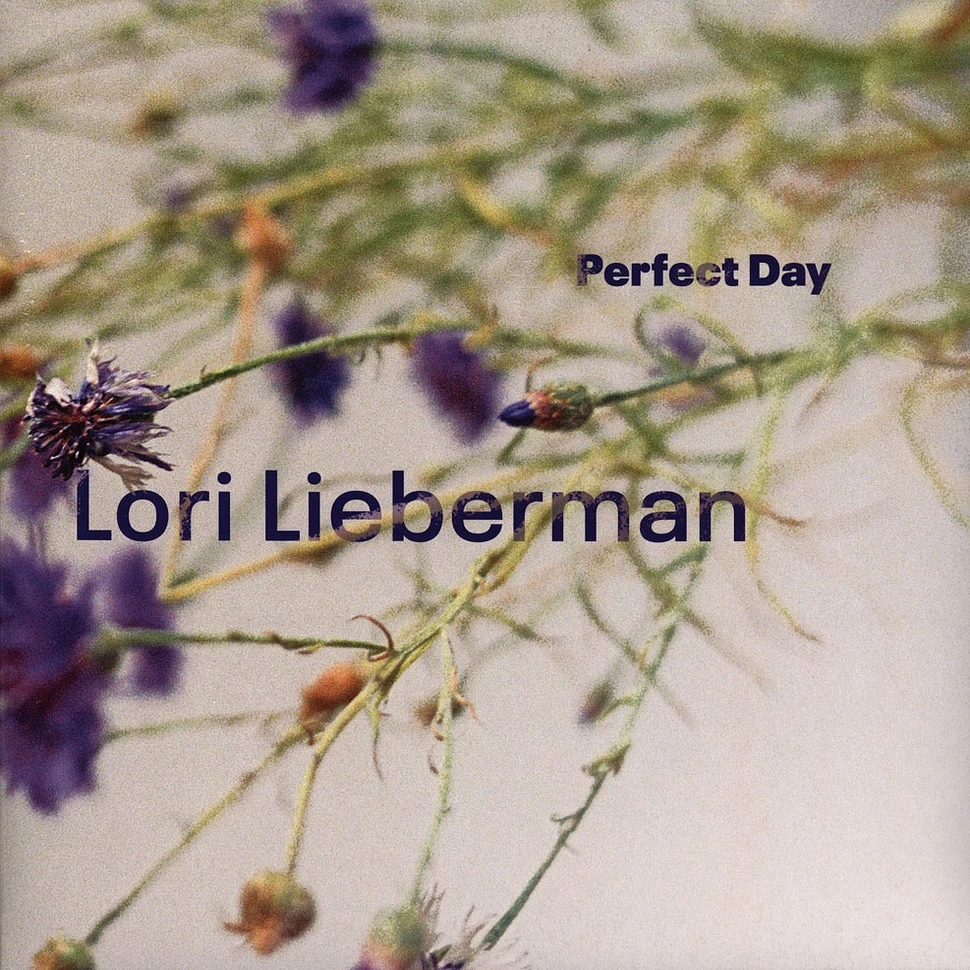 Lori Lieberman - Perfect Day