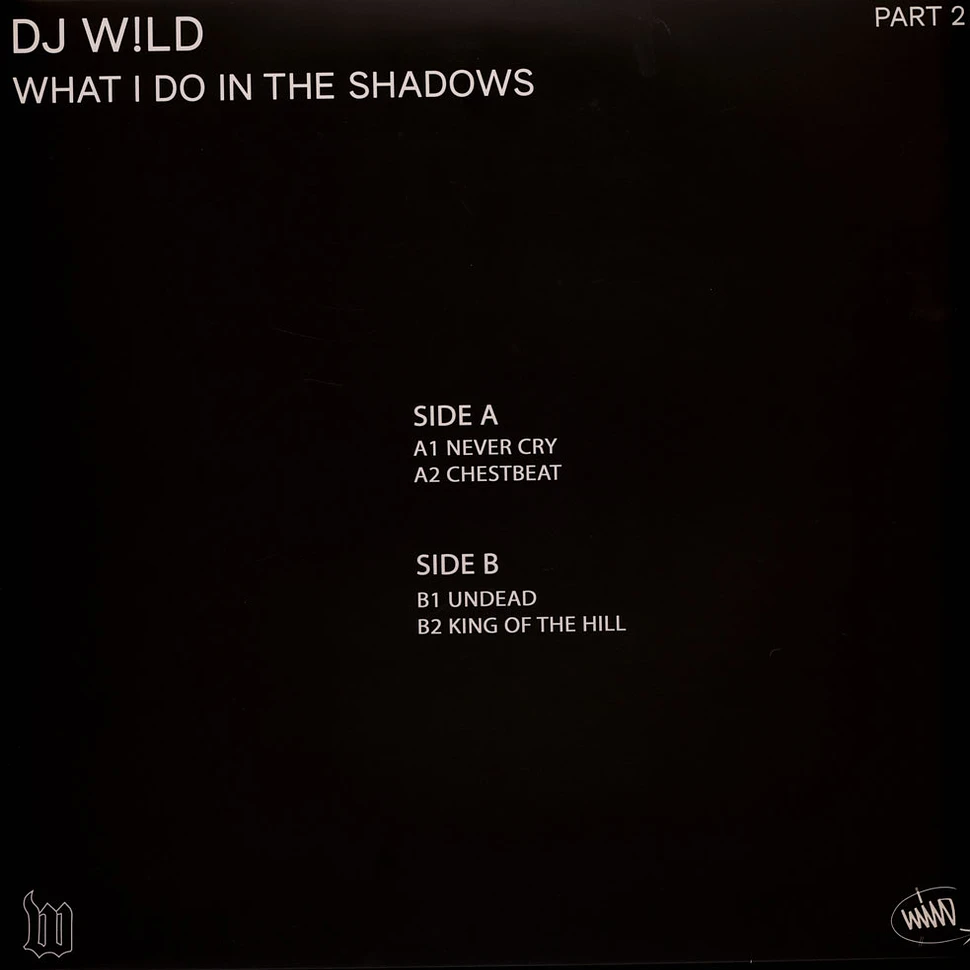 DJ Wild - What I Do In The Shadows Part 2