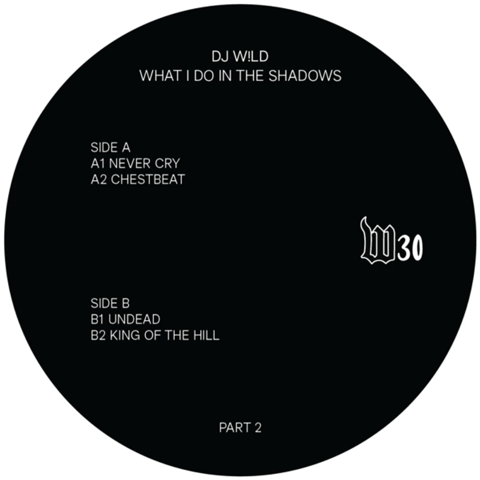 DJ Wild - What I Do In The Shadows Part 2