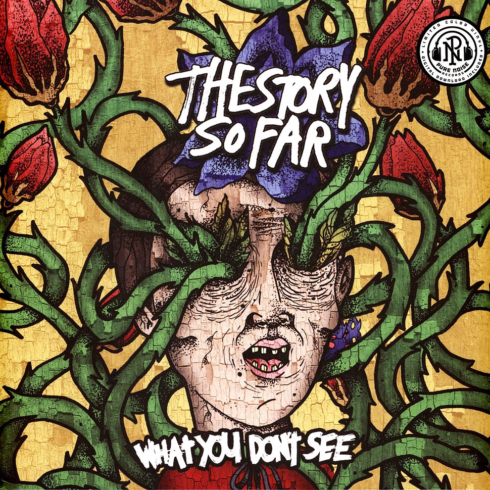 The Story So Far - What You Don't See