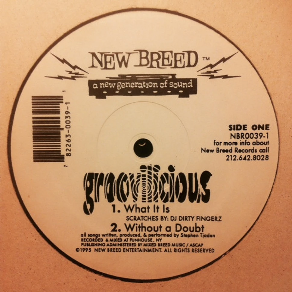 Groovilicious - Groovilicious