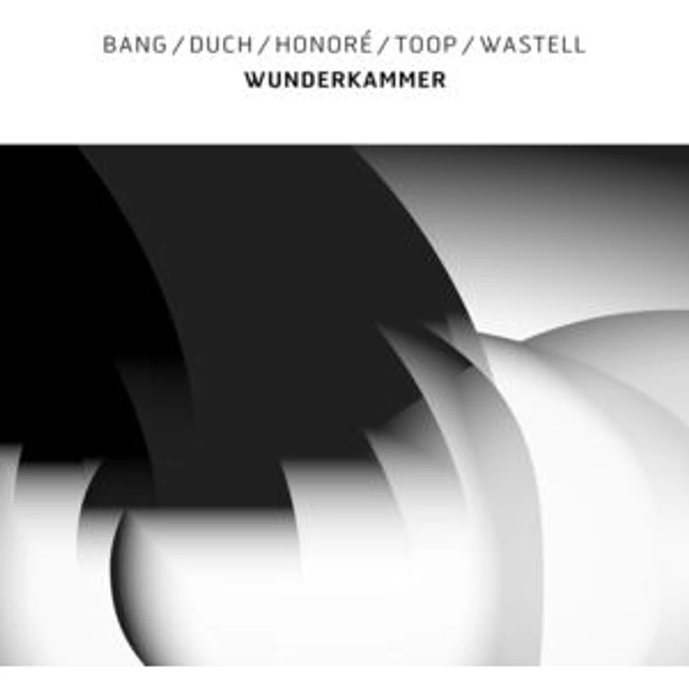 Bang / Duch / Honore / Toop / Wastell - Wunderkammer