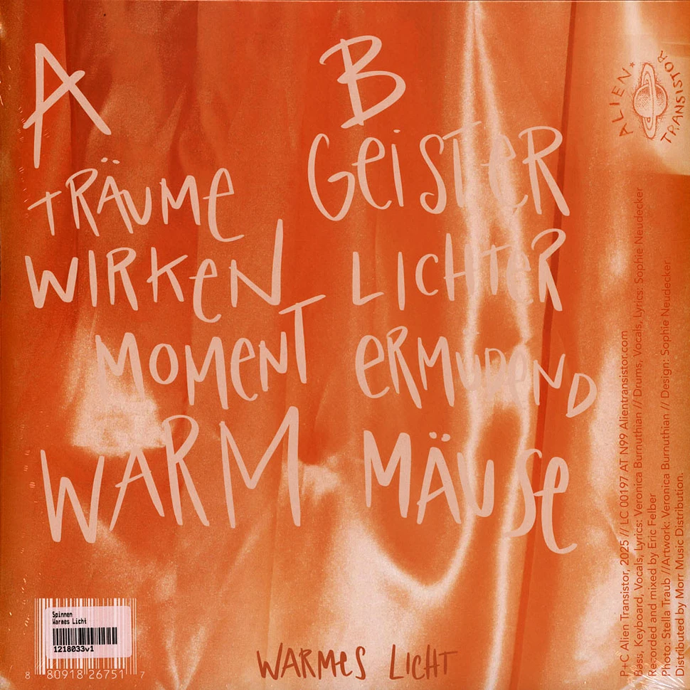 Spinnen - Warmes Licht