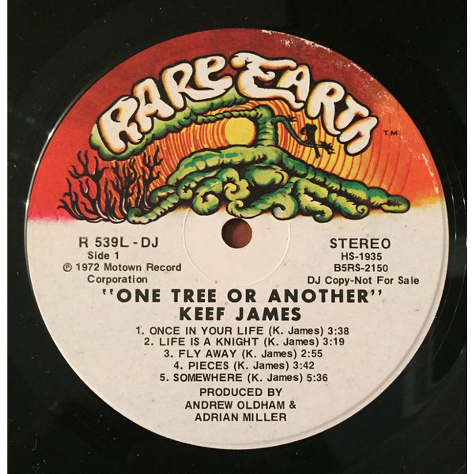 Keef James - One Tree Or Another