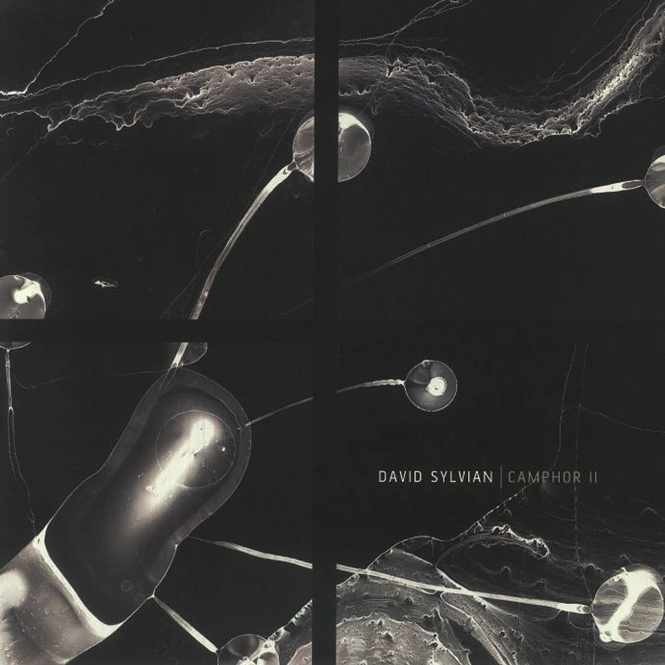 David Sylvian Trophies II 匿名配送 David Sylvian Trophies II 匿名配送