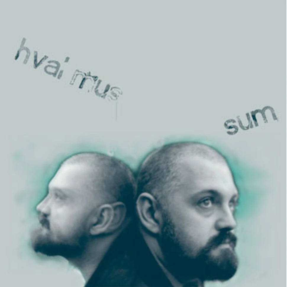 Hval Mus - Sum