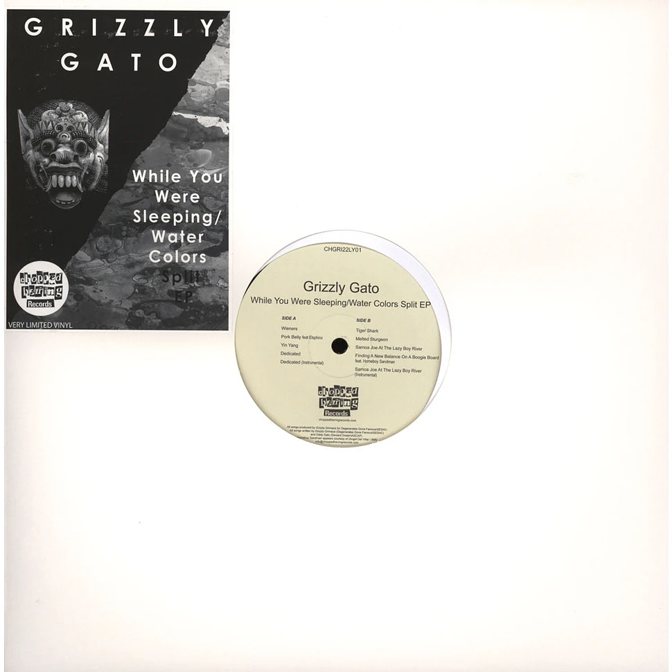 Grizzly Gato - While You Were Sleeping / Water Colors Split EP