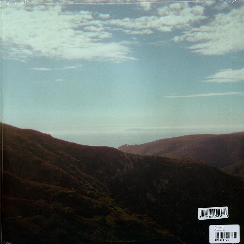 Ty Segall - Possession