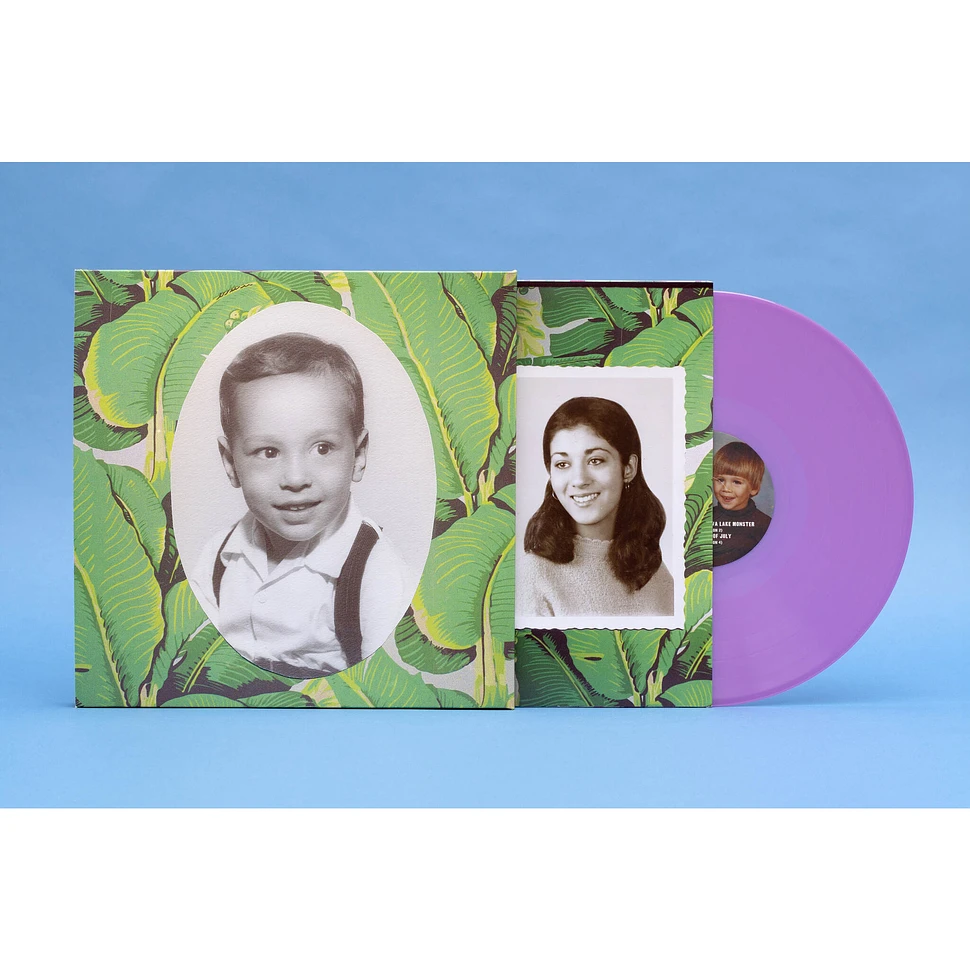 Sufjan Stevens - Carrie & Lowell 10th Anniversary Violet Vinyl Edition