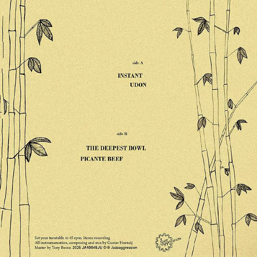 Organic Pulse Ensemble - Bamboo Noodles