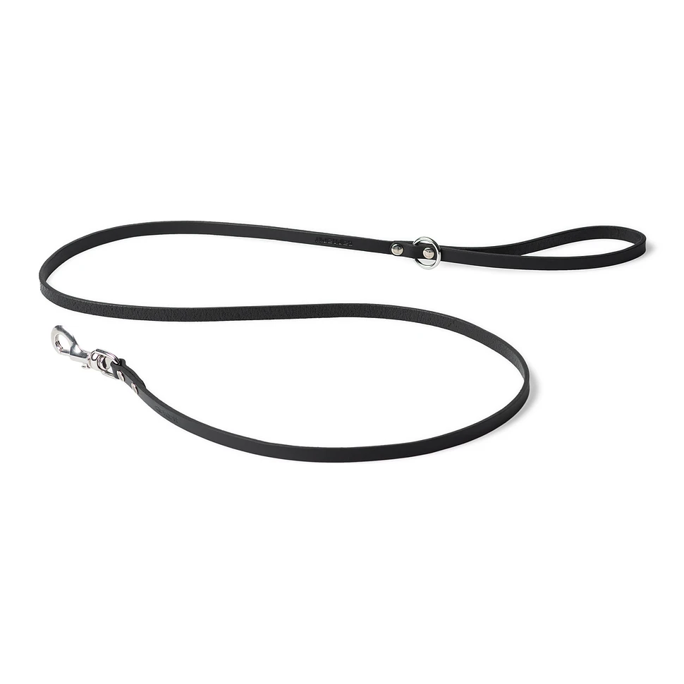 Script Studs Dog Leash
