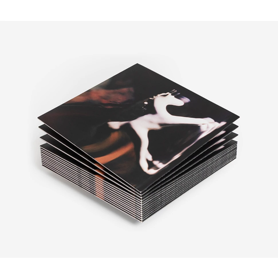 Slowfoam - Night Rider